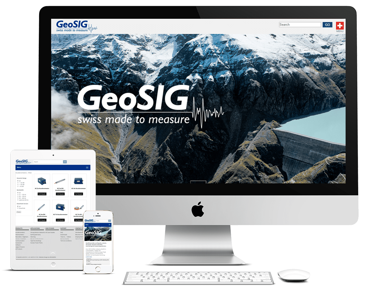 screenshot of Geosig website